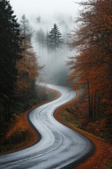 Fototapeta premium A winding country road through a dense forest with fall colors, creating an atmospheric and picturesque autumnal drive.