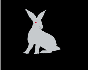 Cute white rabbit victor  with black black background