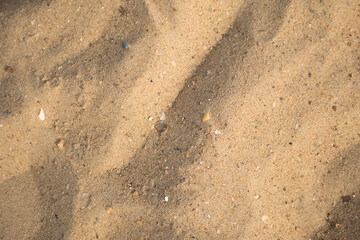 Sable de plage de la mer du nord formant des petites vagues