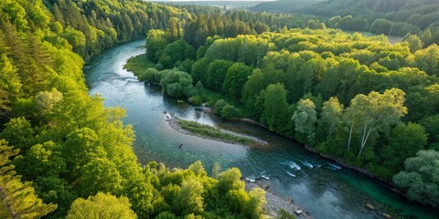 Obraz premium Tranquil Forest River Scene with Lush Greenery and Calm Waters, Perfect for Relaxing Nature Photography and Scenic Landscapes