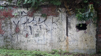 tropical plants grown in abandoned building