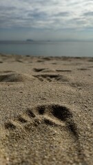 footsteps on the sand