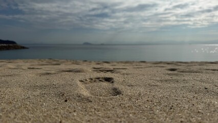 beach and sea