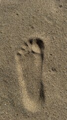 footprints in the sand