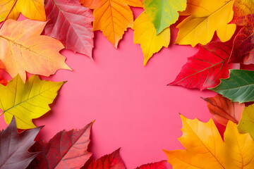 Fototapeta premium Vibrant Autumn Leaves on Pink Backgrounds for Seasonal Designs, Fall-Themed Graphics, and Nature-Inspired Art – Ideal for Marketing, Decor, and Digital Projects