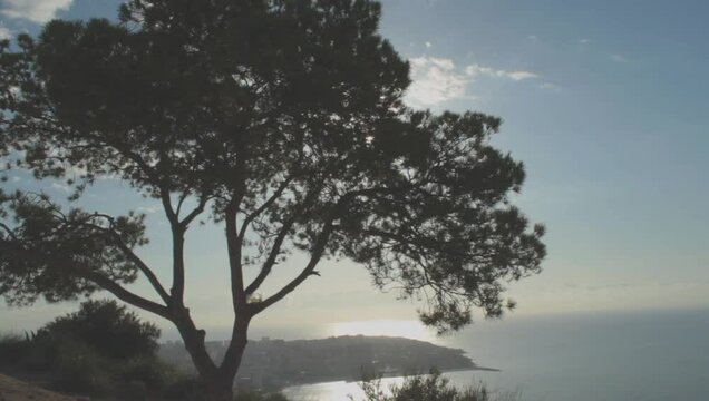 Sol entre hojas de &aacute;rbol en la monta&ntilde;a de la Serra Grossa