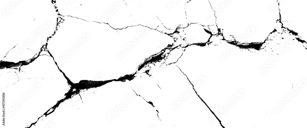 Poster vector grungy cracked texture on isolated pattern for abstract background.