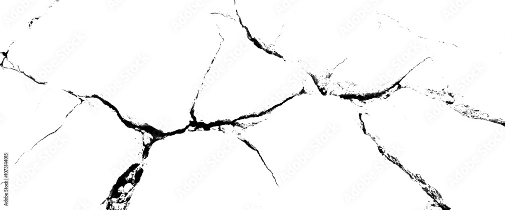 Poster vector white and black cracked pattern texture on isolated pattern for abstract background.