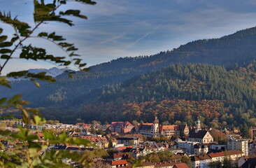 Freiburg-Wiehre vor dem Herbstwald