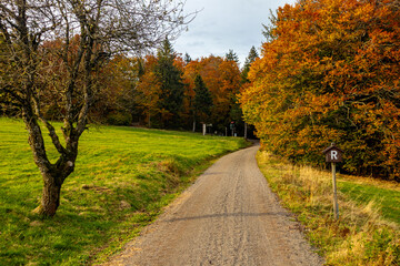 Eine Herbstliche Wanderung zum Bergsee an der Ebertswiese im farbenfrohen Thüringer Wald - Thüringen - Deutschland
