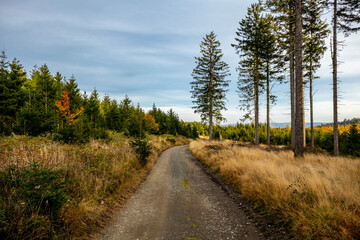 Obraz premium Eine Herbstliche Wanderung zum Bergsee an der Ebertswiese im farbenfrohen Thüringer Wald - Thüringen - Deutschland 