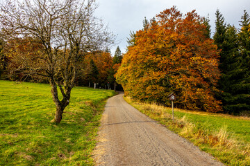 Eine Herbstliche Wanderung zum Bergsee an der Ebertswiese im farbenfrohen Thüringer Wald - Thüringen - Deutschland
