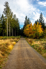 Eine Herbstliche Wanderung zum Bergsee an der Ebertswiese im farbenfrohen Thüringer Wald - Thüringen - Deutschland
