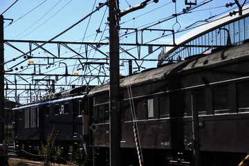 Fototapeta premium 朝の日差しを浴びて高崎駅で入替作業をする旧型客車(EF64-1053号機)_2024/11/9撮影