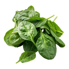 Spinach Leaves Isolated on Transparent Background