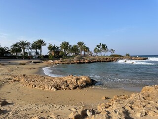 wybrzeże zatoka z palmami © Piotr