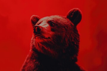 Brown Bear on Red Background