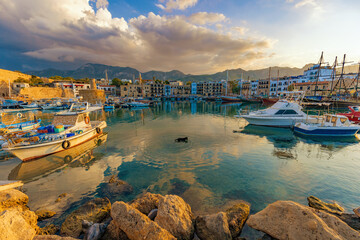 Beautiful view of Kyrenia Harbour | Girne Limani. Docked boats in a sunny day in Northern Cyprus.  A dog chasing fishes in the sea. Kyrenia popular destination for English, German, Russian and Turkish