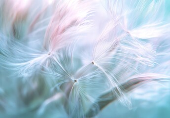 Close-up of dandelion seeds floating in the wind, with soft blue and white colors, pastel tones, a dreamy
