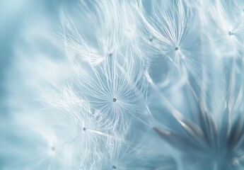 Close-up of dandelion seeds floating in the wind, with soft blue and white colors, pastel tones, a dreamy