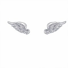 Obraz premium angel wings isolated on white