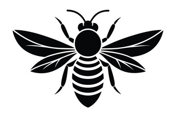 bee silhouette vector white background