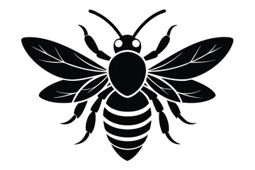 bee silhouette vector white background
