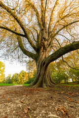 Fototapeta premium Morava Castle Park Lednicko Valtice area