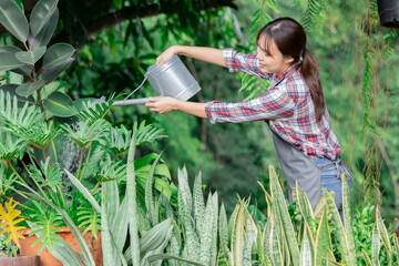 Asian woman spreading fertilizer in garden. Wearing apron and plaid shirt, smiling while tending to...