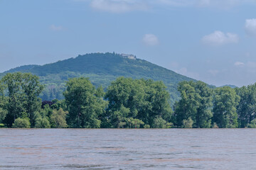 View of the flooded river Rhine and the Hotel Petersberg at the top of the mountain, a hotel and an official guest house of Germany