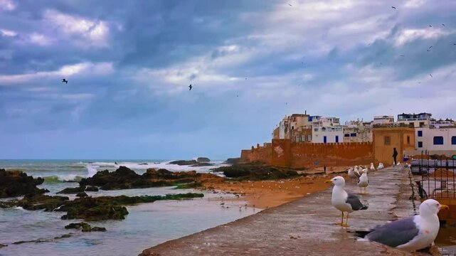 ESSAOUIRA City Atlantic Ocean MOROCCO Africa