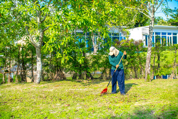 A janitor cleans the lawn area from leaves and mown grass. Hotel cleaning service.
