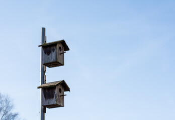 bird houses on a pole