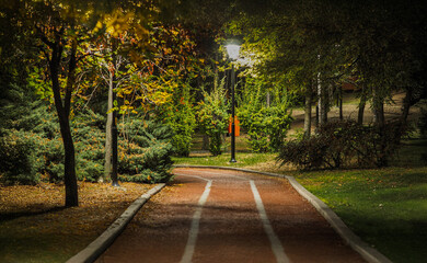 People walking on the walkway in the park in spring
