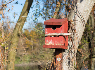 birdhouse on a tree