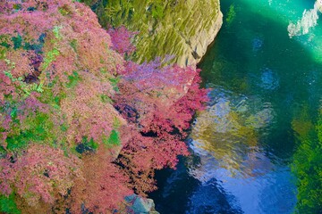 綺麗な紅葉と川
