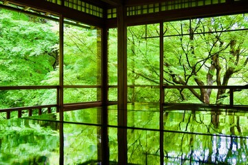 瑠璃光院の綺麗な新緑風景