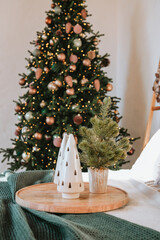 Winter decor with a white tree and a green plant by a Christmas tree