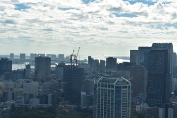 Obraz premium 東京都の風景
