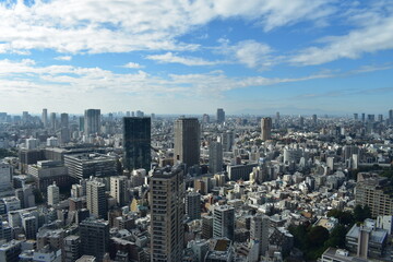 Fototapeta premium 東京都の風景