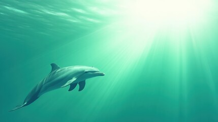 Fototapeta premium Dolphin gracefully swimming under sunlit ocean waters, AI