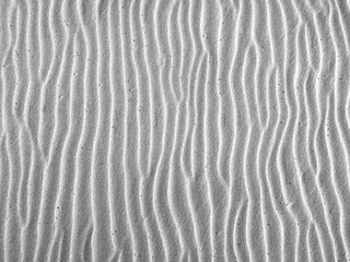Wind creating patterns on sand surface in black and white