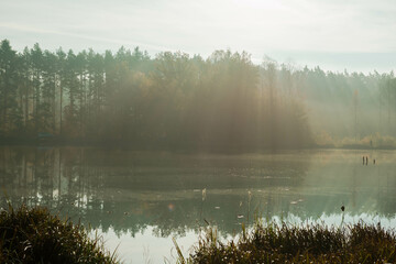 Jezioro położone w wysokim, sosnowym lesie. Jest jesienny poranek. Nad jeziorem unosi się mgła rozświetlana promieniami słońca. © boguslavus