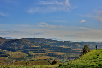 Naklejka premium Herbstlandschaft bei Vogtsburg im Kaiserstuhl