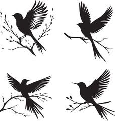  Bird Silhouette Set on Branches - Vector Illustration Collection