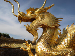 gold dragon