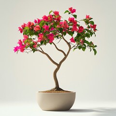 bonsai tree with flowers
