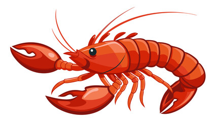  illustration of fresh half of lobster isolated, lobster vector illustration