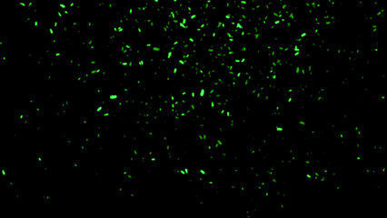 Perfect green fire particles embers sparks on black background . Texture overlays.