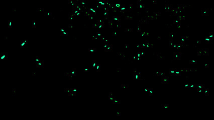 Perfect green fire particles embers sparks on black background . Texture overlays.